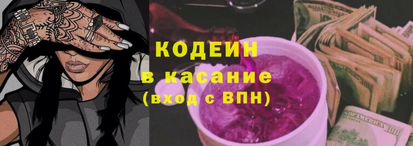 хмурый Алексин