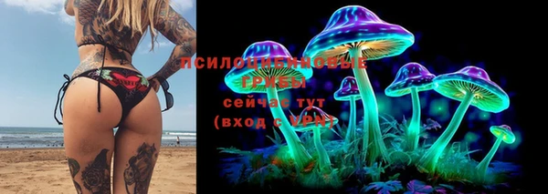 кокаин Алексеевка