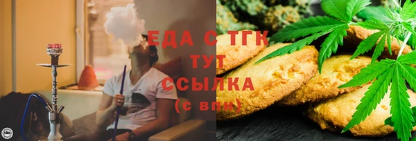 хмурый Алексин