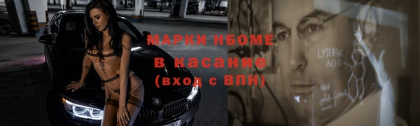 хмурый Алексин
