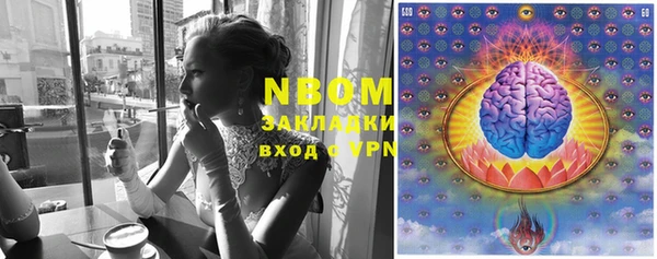 хмурый Алексин
