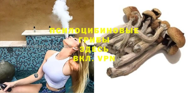 хмурый Алексин